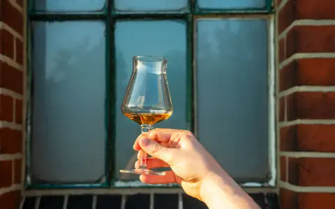 Ein Glas bernsteinfarbener Whisky wird vor einem Fenster gehalten. Der Alkoholgehalt ist bei dieser Verkostung entscheidend.