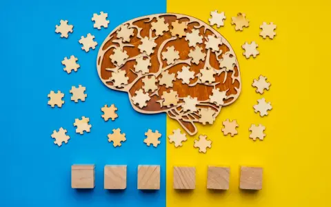 Forma di cervello in legno con pezzi di puzzle sparsi, che simboleggiano il metodo Feuerstein e lo sviluppo cognitivo.