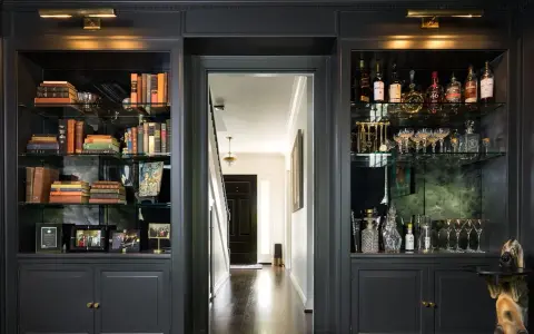 Estanterías oscuras con libros, botellas y copas. Ideas para como decorar una libreria con estilo y elegancia.