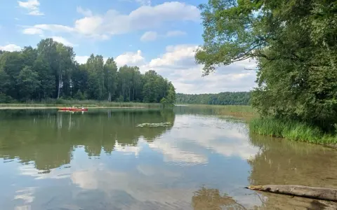 Spokojne jezioro w Mazurskim Parku Krajobrazowym. Dwie kajaki płyną po wodzie, otoczone zielenią lasów i trzcin. To idealne miejsce na relaks i podziwianie przyrody.