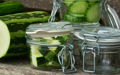 Zucchini-Scheiben und -Würfel in Gläsern, bereit zum einkochen im Dampfgarer. Frische Zucchini liegt daneben.