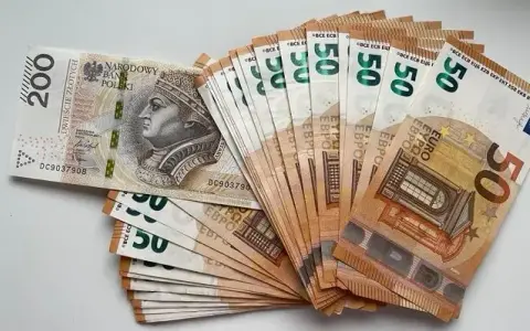 Ile pieniędzy można przewieźć przez granicę bez ryzyka utraty gotówki?