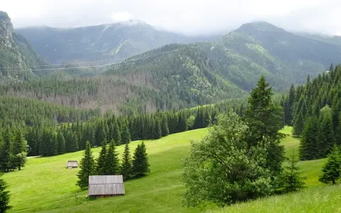 Zielone doliny i lasy Tatr, widok na kalatówki w Zakopanem.