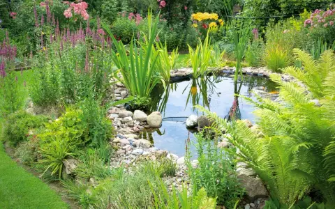 Ein idyllischer kleiner gartenteich ideen mit üppiger Bepflanzung, bunten Blumen und Fischen.