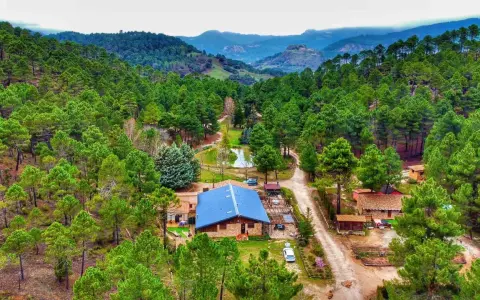 Un refugio en el bosque, el lagunazo riopar, rodeado de pinos y con un estanque sereno.