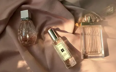 Welches Damenparfum passt zu dir? Bestseller, Klassiker & Trends