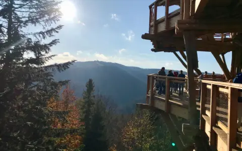 Drewniana wieża widokowa w Beskidach, idealne miejsce na rodzinne atrakcje. Widok na góry i lasy jesienią.