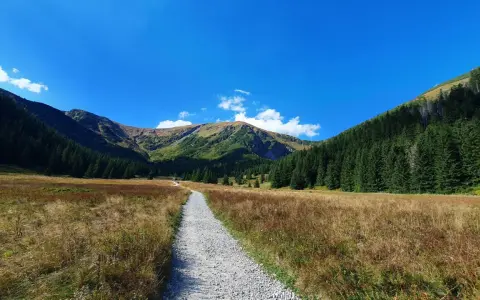 Kamienista ścieżka prowadzi przez trawiaste hale w kierunku gór. Szlak na Halę Kondratową w Tatrach.