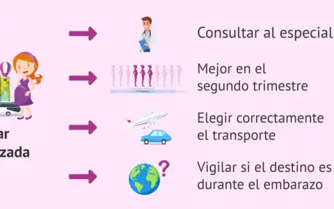 Consejos para viajar embarazada: consulta al especialista, el segundo trimestre es ideal, elige bien el transporte y vigila el destino.