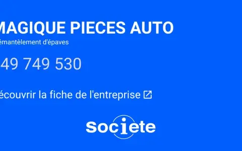 Magique Pièces Auto : Faut-il faire confiance à ce vendeur ? Mon avis