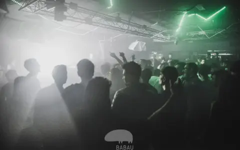 Folla in delirio in un locale, luci verdi e fumo creano un'atmosfera da dj techno anni '90.