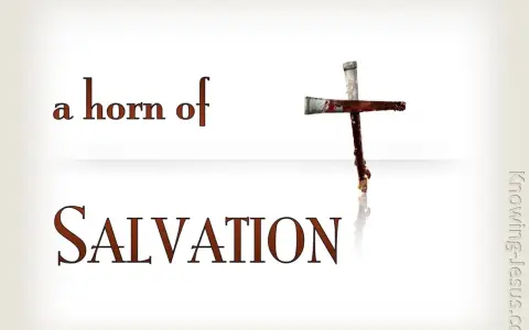A cross made of nails, stained with blood, symbolizes the horn of salvation. Text reads "a horn of SALVATION.