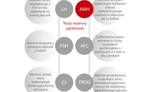 Schemat testów rezerwy jajnikowej: AMH, LH, FSH, AFC, E2, PROG.