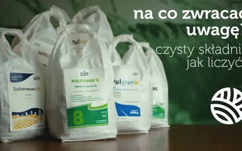 Jak z czego produkuje się nawozy azotowe? Kluczowe składniki i procesy