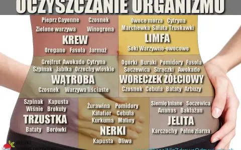 Dieta oczyszczająca 3-dniowa przepisy: lista produktów wspierających KREW, WĄTROBĘ, TRZUSTKĘ, NERKI, JELITA i LIMFĘ.