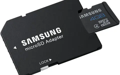 Adaptateur microSD Samsung avec une carte 4GB insérée. La taille carte sd est parfaite pour vos appareils.