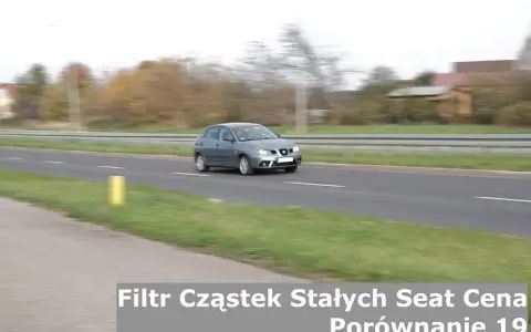 Seat Leon II 1.9 TDI - Czy ma DPF i co to oznacza dla Ciebie?