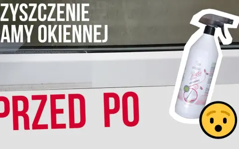 Jak usunąć odchody much z ram okiennych PCV? Skutecznie i bezpiecznie