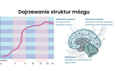 Rozwój mózgu dziecka: Kluczowe czynniki i jak je wspierać?