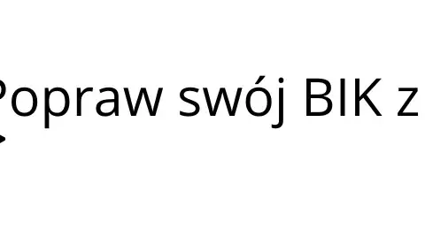 Twój BIK: Jak sprawdzić, zrozumieć i poprawić historię kredytową?