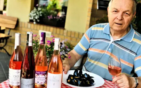 Wino: Skąd pochodzi i jak podbiło świat? Fascynująca historia.