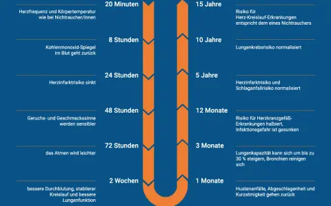 Zeitstrahl zeigt die **Lungenregeneration** nach dem Rauchstopp: Herzfrequenz normalisiert sich, Risiko für Herzinfarkt und Lungenkrebs sinkt, Lungenkapazität steigt.