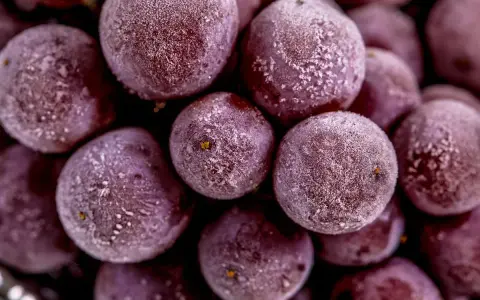 Gefrorene rote Weintrauben mit Eiskristallen, bereit zum Einfrieren für erfrischende Snacks.