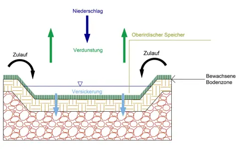 Schema einer Sickermulde: Regenwasser versickert, verdunstet und fließt zu. Oberirdischer Speicher und bewachsene Bodenzone sind dargestellt.