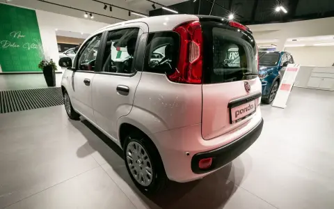 Biały Fiat Panda stoi w salonie samochodowym obok niebieskiego Fiata.
