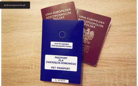 Czarnogóra: Dowód wystarczy, ale jest haczyk! Kiedy paszport?