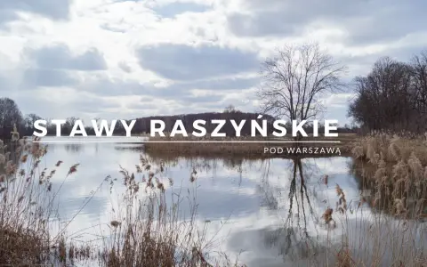 Rezerwat Przyrody Stawy Raszyńskie: Odkryj jego tajemnice i bogactwo fauny