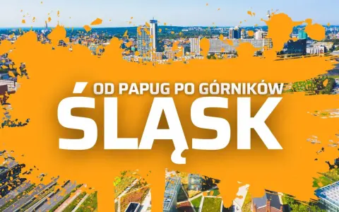 Wycieczka jednodniowa Śląskie: od papug po górników. Widok na nowoczesne miasto z drapaczami chmur i zielonymi dachami.