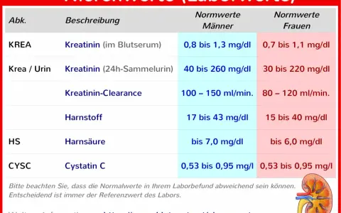 Tabelle zeigt Nierenwerte im Blut und Urin, wie Kreatinin, Harnstoff und Harnsäure, mit Normwerten für Männer und Frauen.