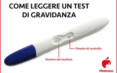Test di gravidanza positivo con due linee visibili. Indicazioni su come leggere il risultato.