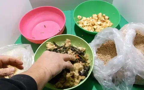 Mani che mescolano cibo per galline in una ciotola verde, con ingredienti come crusca, verdure e mele a cubetti.
