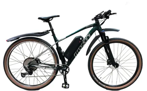 Zielony rower z napędem elektrycznym, zestaw do konwersji roweru 250w. Wyposażony w błotniki i opony z brązowymi bokami.