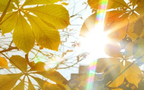 Vitamin D Sonne: So wichtig ist die richtige Sonnenexposition für Ihre Gesundheit