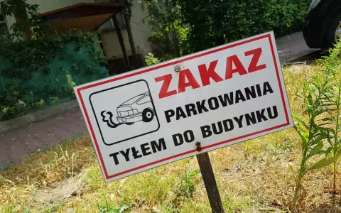 Czy można parkować tyłem do budynku? Sprawdź przepisy i uniknij mandatu