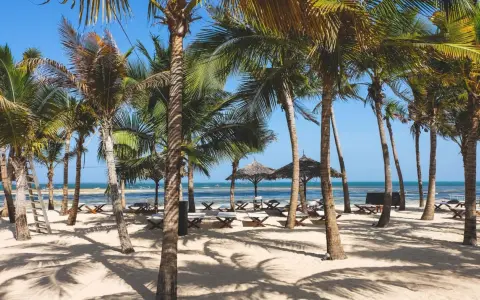 Rajska plaża w Kenii w grudniu. Palmy, leżaki i ocean tworzą idealną pogodę na wakacje.