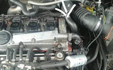 Silnik Audi A3 8L 1.6. Widoczna odma i jej połączenia, które mogą być przyczyną objawów problemów z silnikiem.
