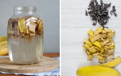 Słoik z wodą i skórkami bananów, obok pokrojone skórki i wysuszone resztki. Naturalny nawóz ze skórki banana gotowy do użycia.