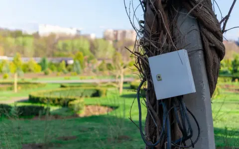 Podłączenie prądu do działki bez domu: szara skrzynka elektryczna na słupie oplecionym pnączami, z widokiem na park.