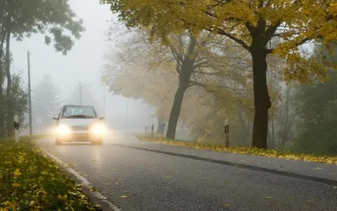Auto fährt durch dichten Nebel, wann Nebelscheinwerfer unerlässlich sind. Herbstlaub liegt am Straßenrand.
