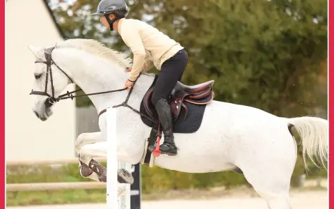 Cavalier et cheval blanc en plein saut d'obstacles, un exercice de musculation pour le cheval.