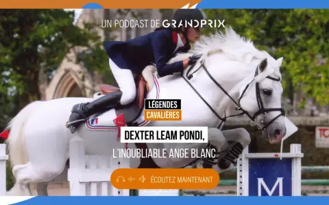 Un cavalier et son cheval blanc, Dexter Leam Pondi, franchissent un obstacle. Podcast "Légendes Cavaliers".