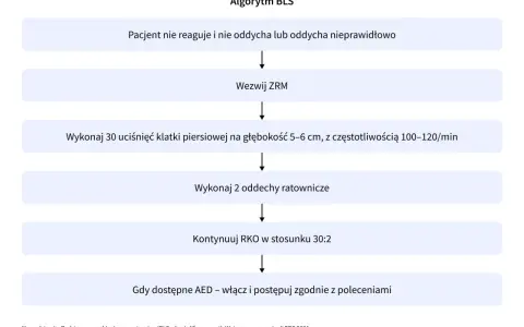 Algorytm BLS dla zatrzymania krążenia (ICD-10): nieprzytomny, nie oddycha? Wezwij ZRM, RKO 30:2, użyj AED.