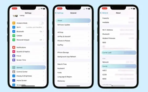 Ekran iPhone'a z ustawieniami. Widać opcję "Carrier Lock", która informuje o blokadzie simlock.