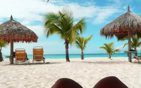 Soligt och varmt på Aruba i december. Palmer, parasoller och tomma solstolar på en vit sandstrand vid turkost hav.
