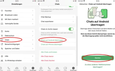 WhatsApp Chats sichern: Nie wieder Daten verlieren Android & iPhone