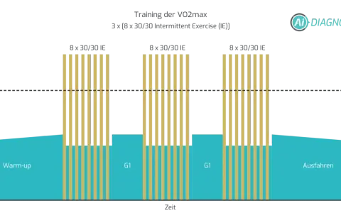 Diagramm zeigt ein VO2max-Training mit Aufwärmen, Intervalltraining (8x 30/30 IE) und Ausfahren.